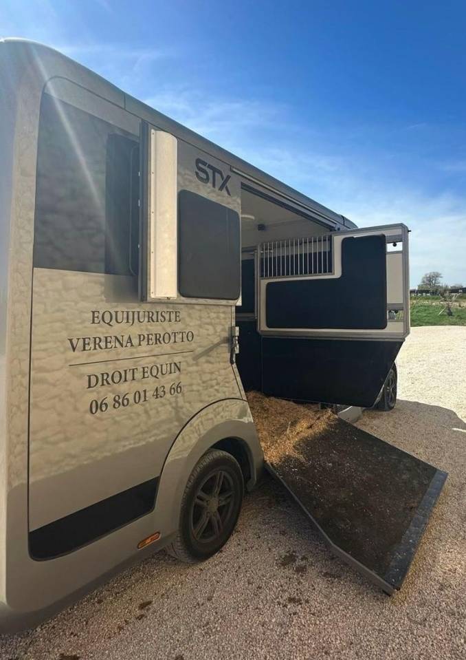 Horsebox HGV Renault STX 2023 Used