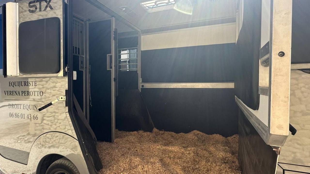 Horsebox HGV Renault STX 2023 Used