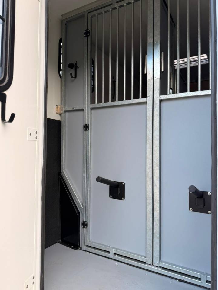 Horsebox HGV AP Petit Renault Master 2021 Used