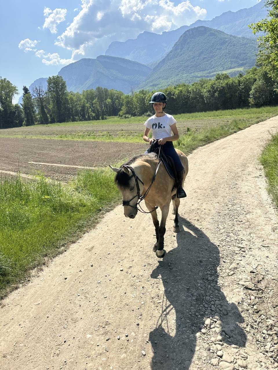 Mare French Saddle Pony For sale 2014 Buckskin