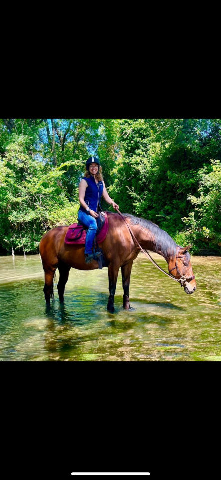 Mare English Thoroughbred For sale 2017 Bay