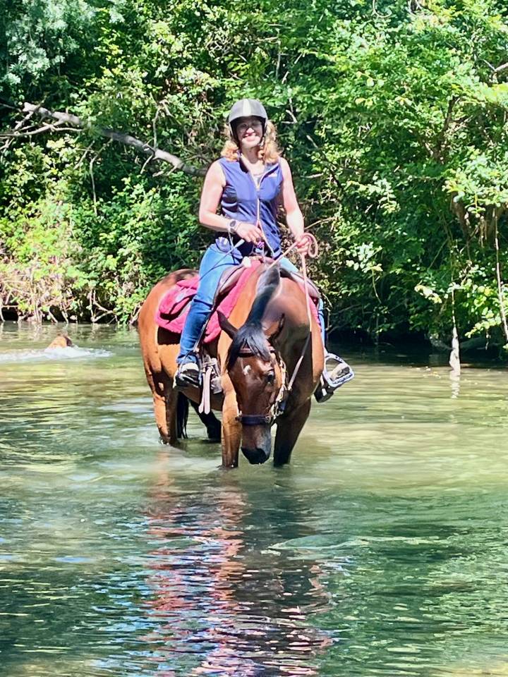 Mare English Thoroughbred For sale 2017 Bay