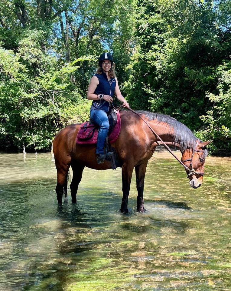 Mare English Thoroughbred For sale 2017 Bay