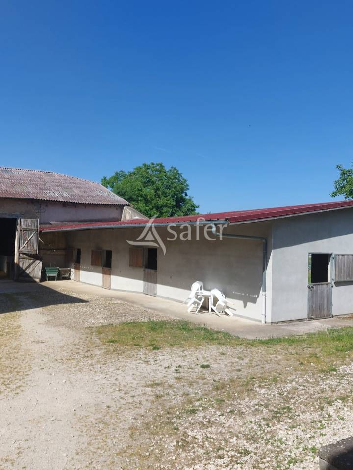 Equestrian property  Meuse