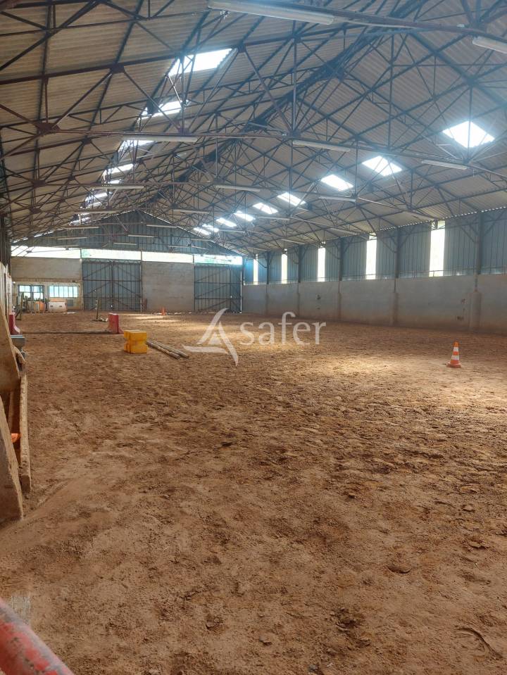 Equestrian property  Meuse