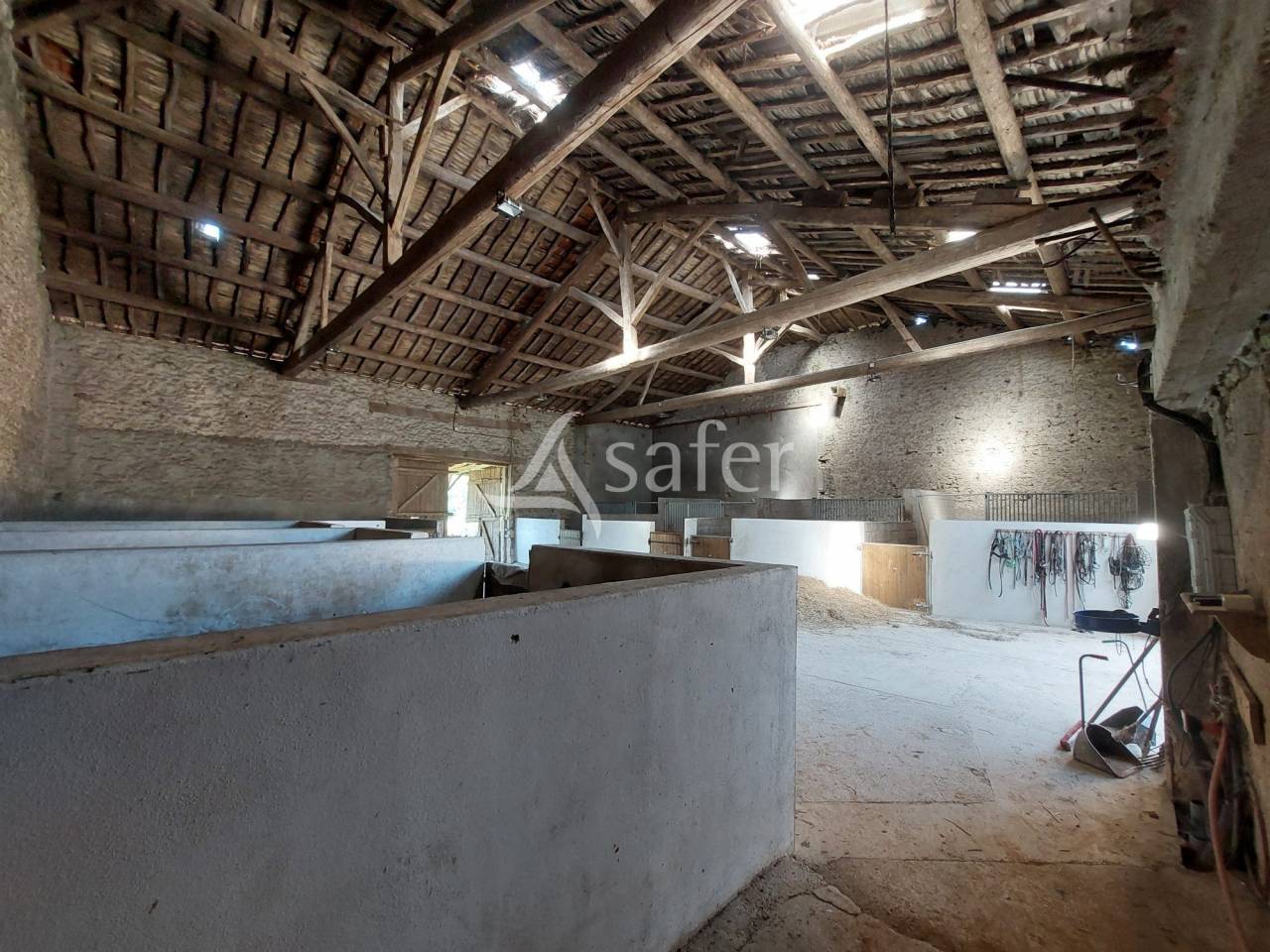 Equestrian property  Meuse