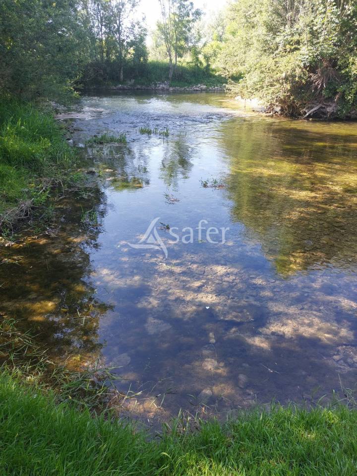 Equestrian property  Meuse