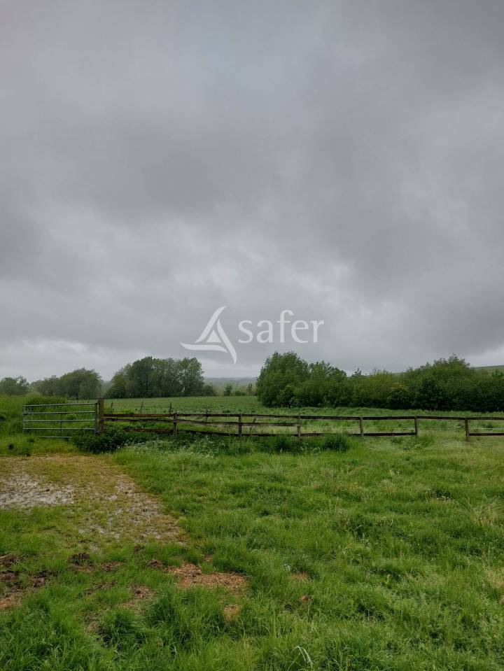 Equestrian property  Meuse