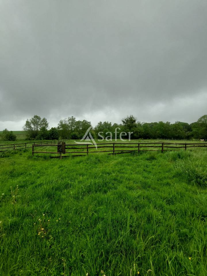 Equestrian property  Meuse