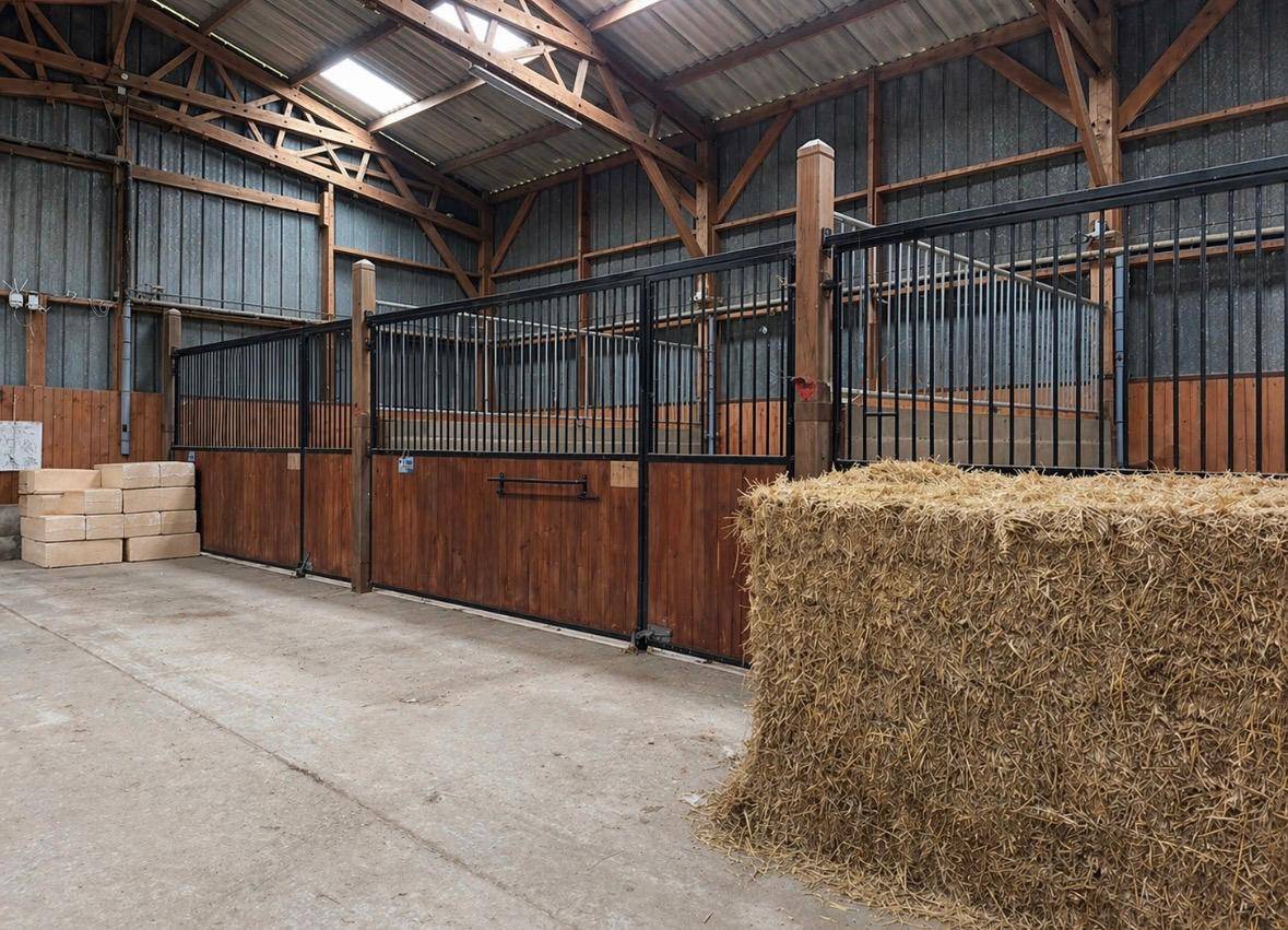 Stud farm  Seine-Maritime