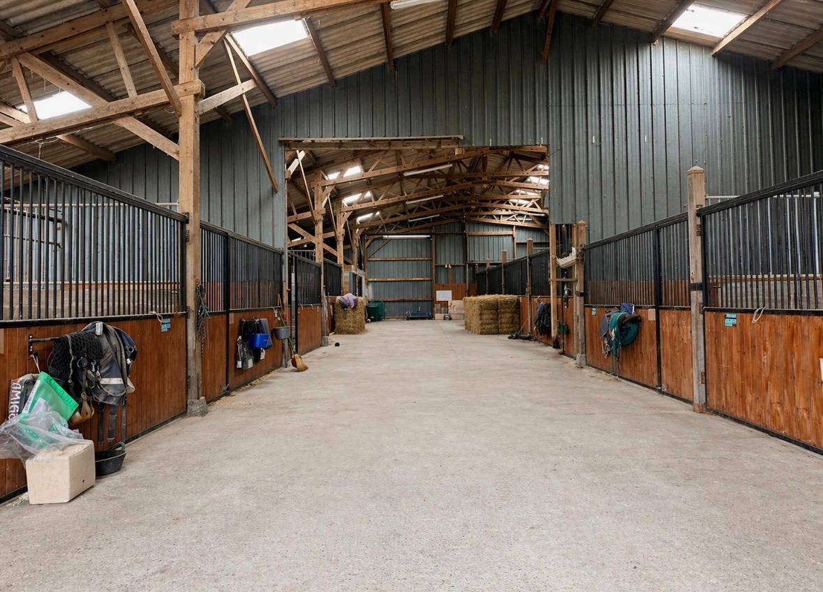 Stud farm  Seine-Maritime