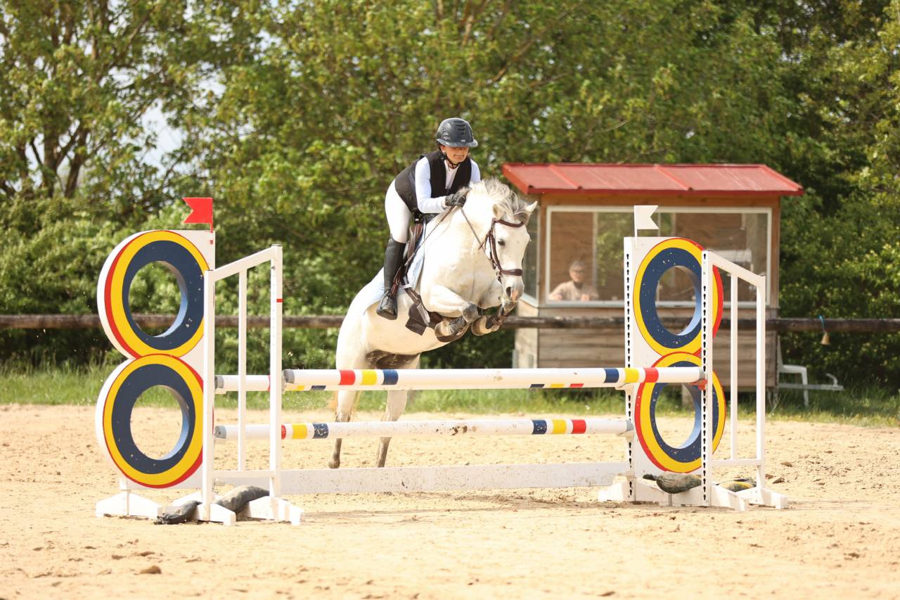 Mare Origin Recorded For sale 2015 Grey