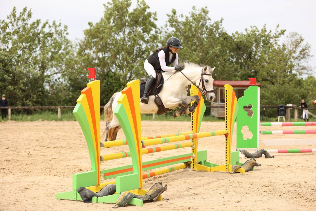 Mare Origin Recorded For sale 2015 Grey