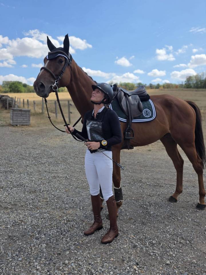 Gelding Thoroughbred For sale 2022 Chesnut
