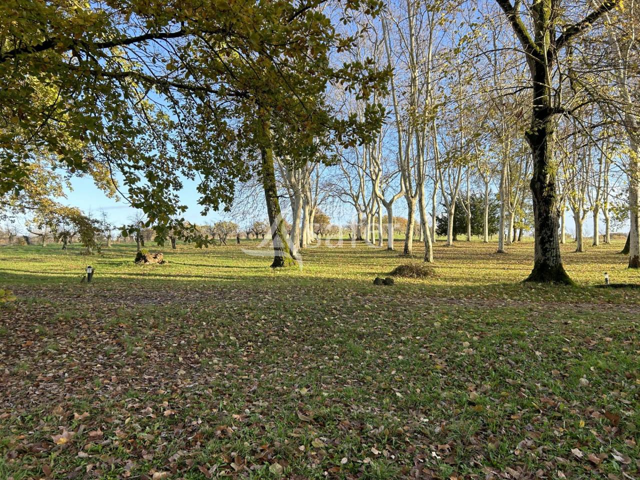 Other agricultural property  Lot-et-Garonne