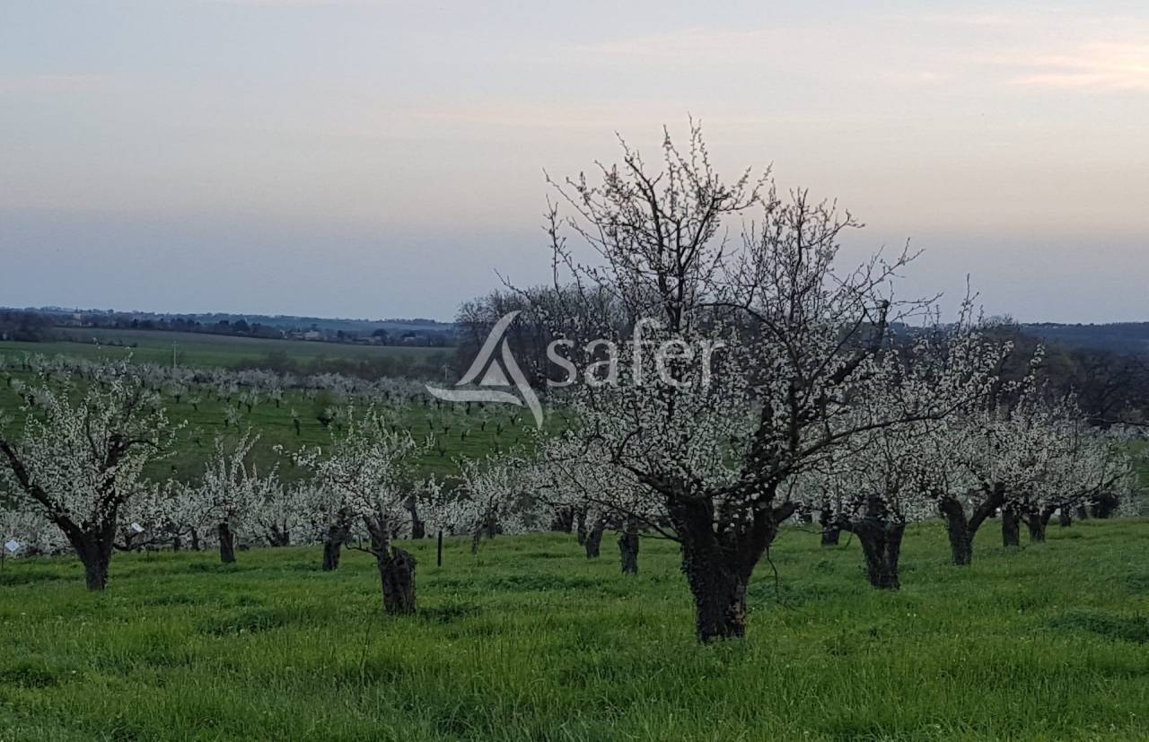 Other agricultural property  Lot-et-Garonne