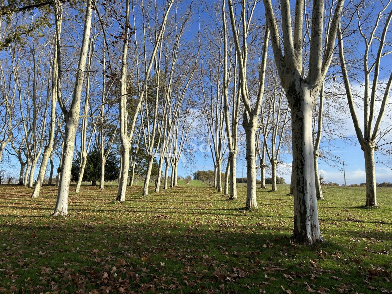 Other agricultural property  Lot-et-Garonne