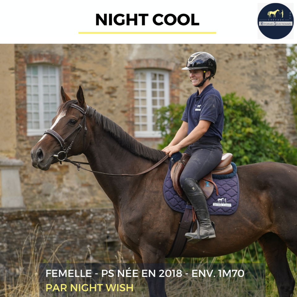 Mare Thoroughbred For sale 2018 Bay