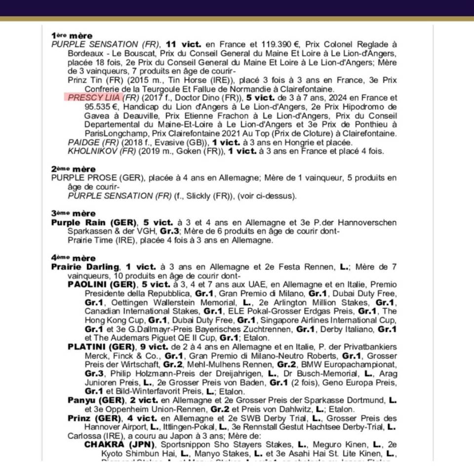 Mare Thoroughbred For sale 2017 Grey