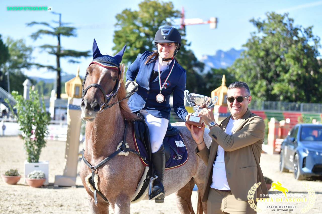 Gelding British Riding Pony For sale 2017 Roan