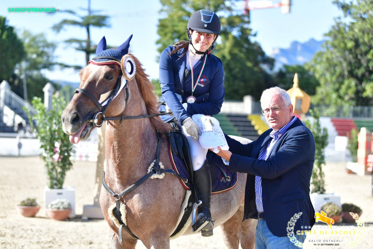 Gelding British Riding Pony For sale 2017 Roan