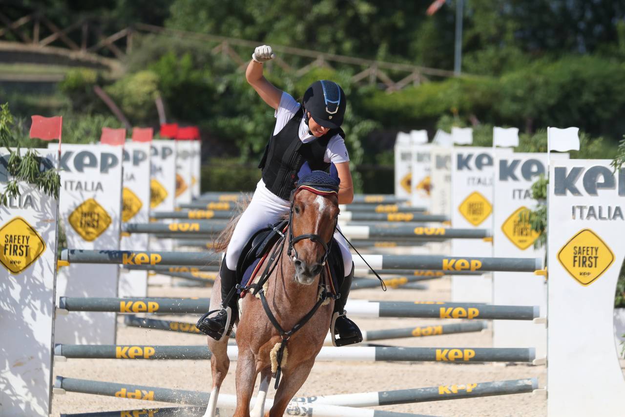 Gelding British Riding Pony For sale 2017 Roan