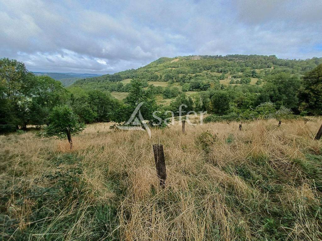 Other agricultural property  Corr&egrave;ze