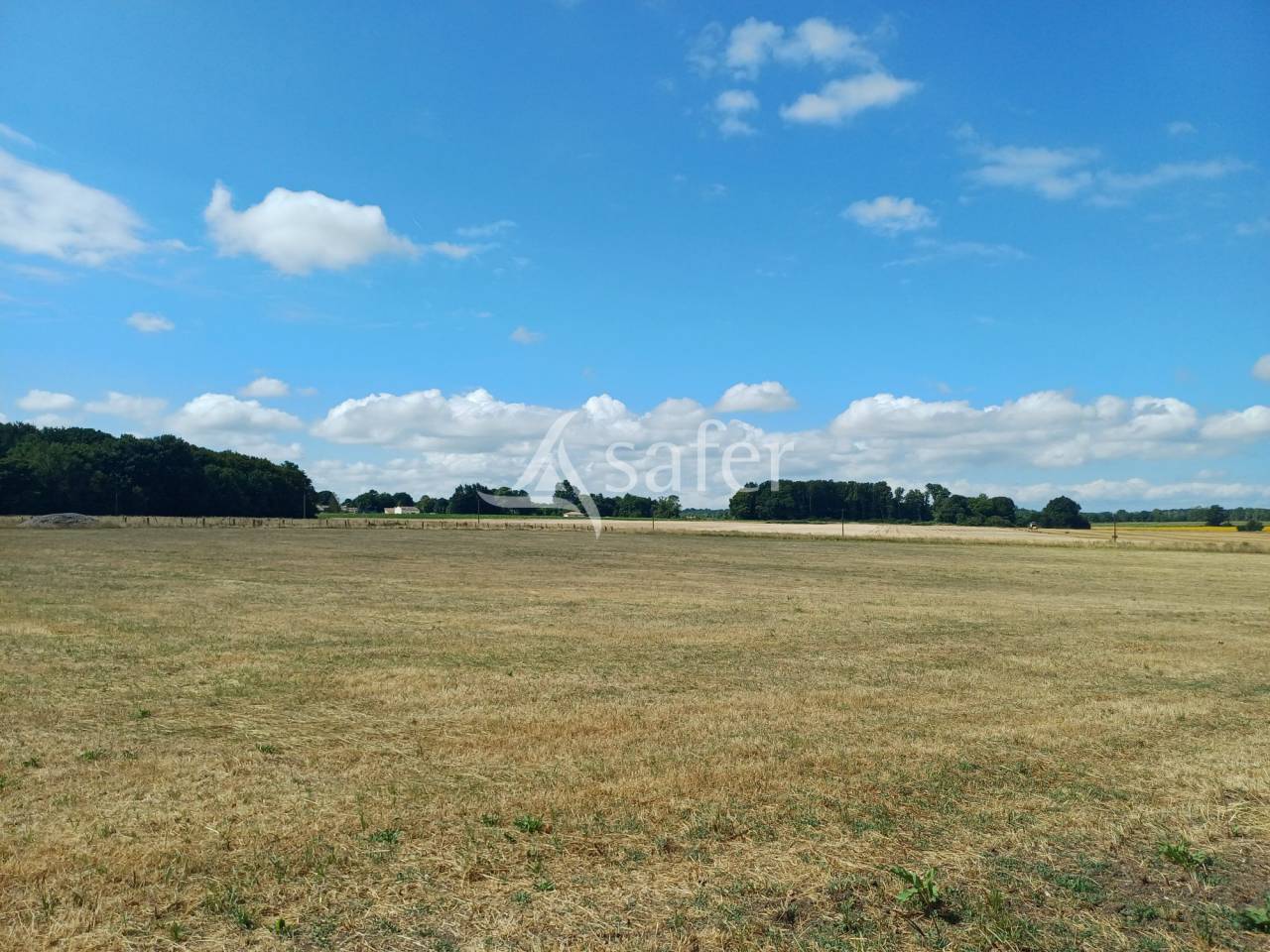 Other agricultural property  Charente-Maritime