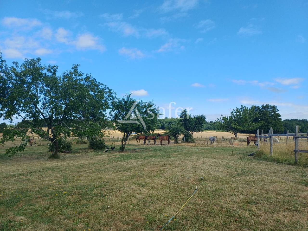 Other agricultural property  Charente-Maritime
