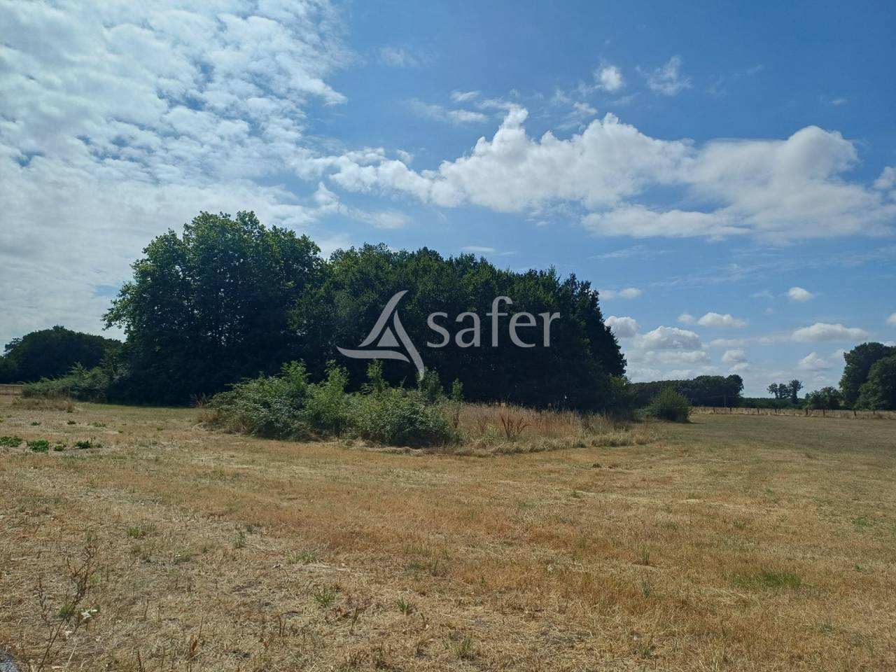 Other agricultural property  Charente-Maritime