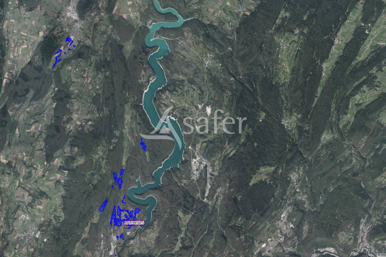 Sheep farm  Jura