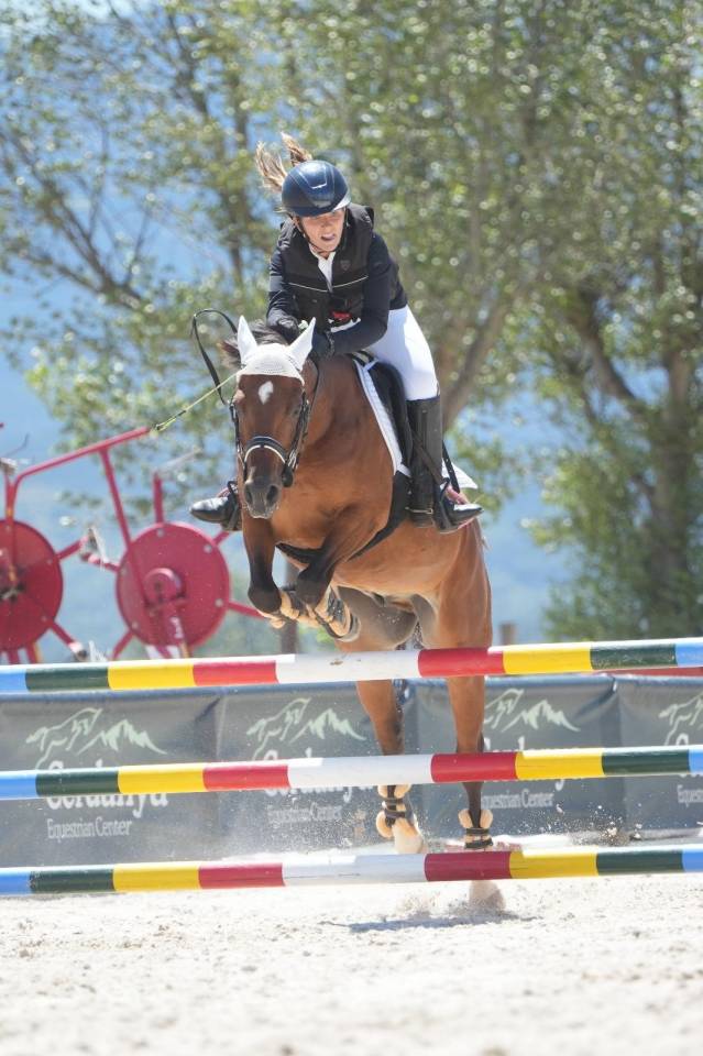Gelding French Saddle Pony For sale 2014 Light chestnut