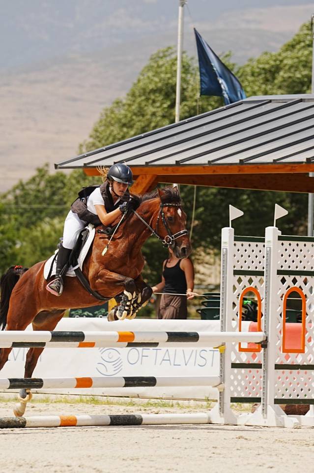 Gelding French Saddle Pony For sale 2014 Light chestnut