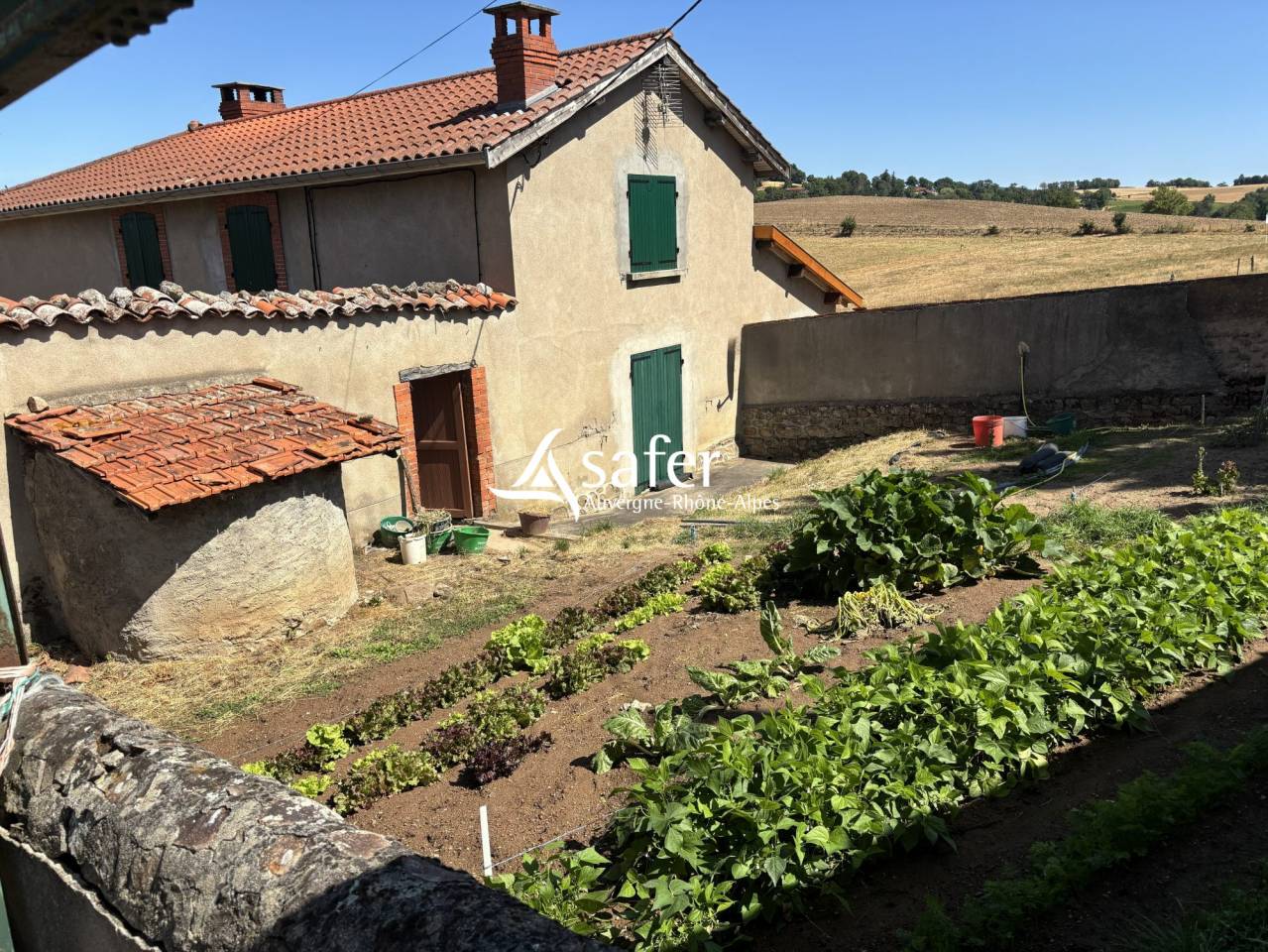 Sheep farm  Rh&ocirc;ne