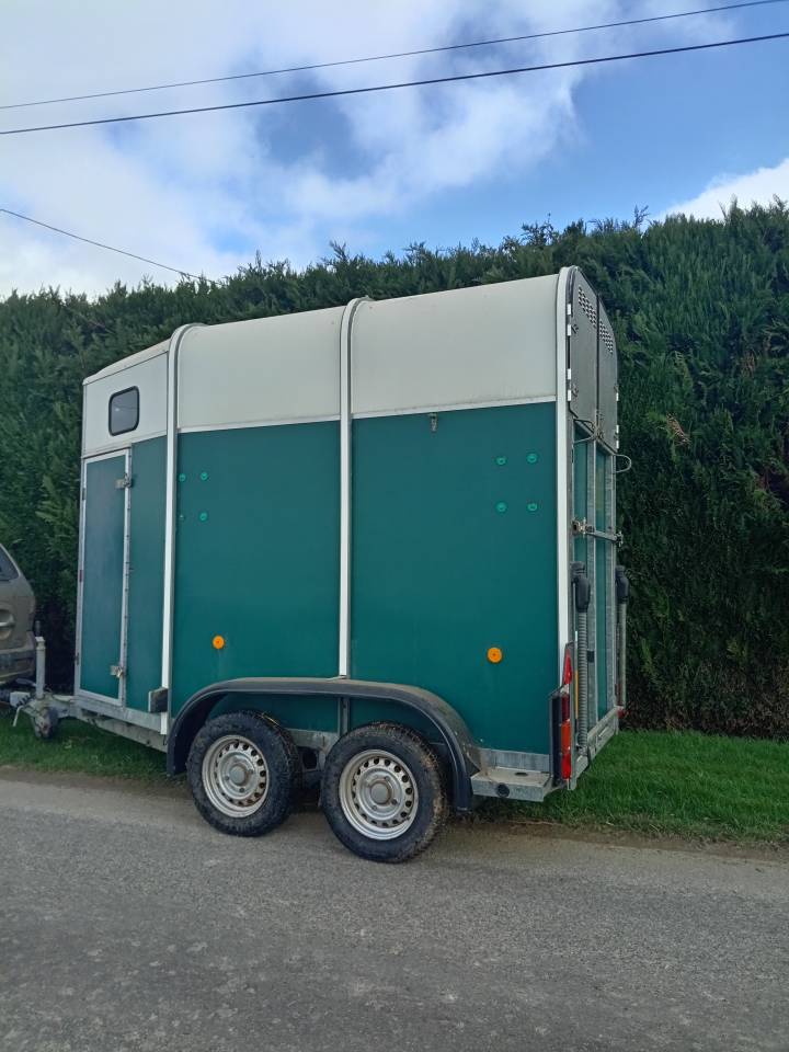 Horse trailer Ifor Williams HB401R 1,5 Stalls 2003 Used