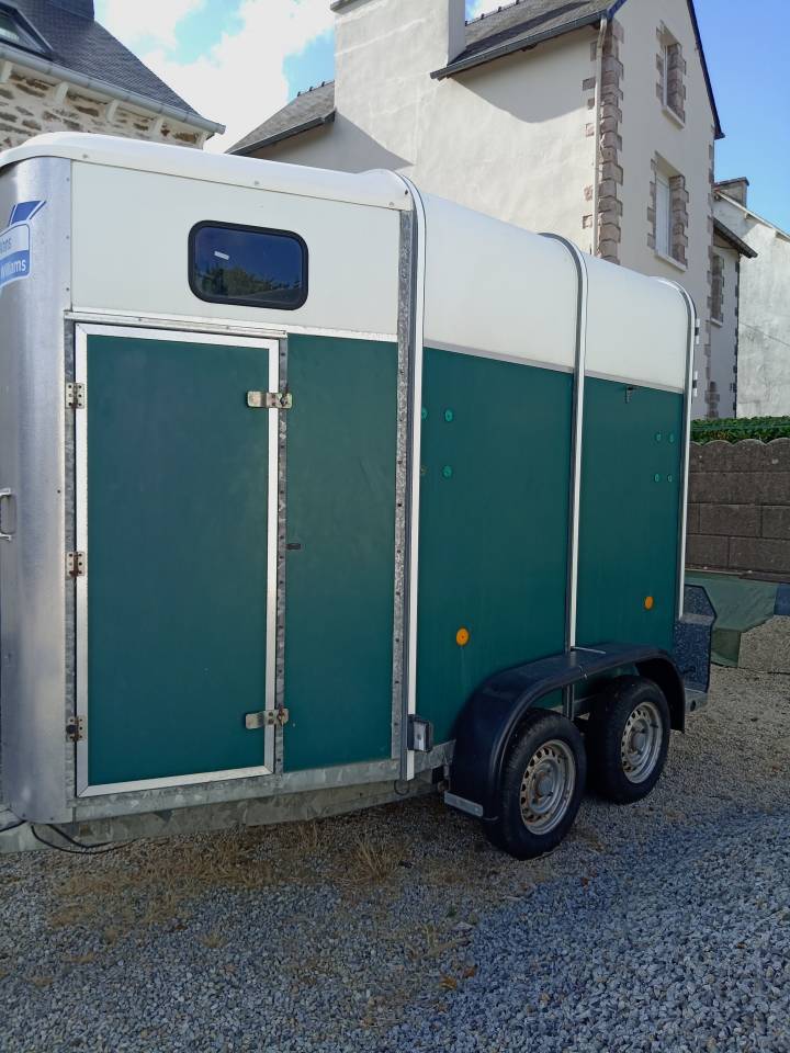 Horse trailer Ifor Williams HB401R 1,5 Stalls 2003 Used