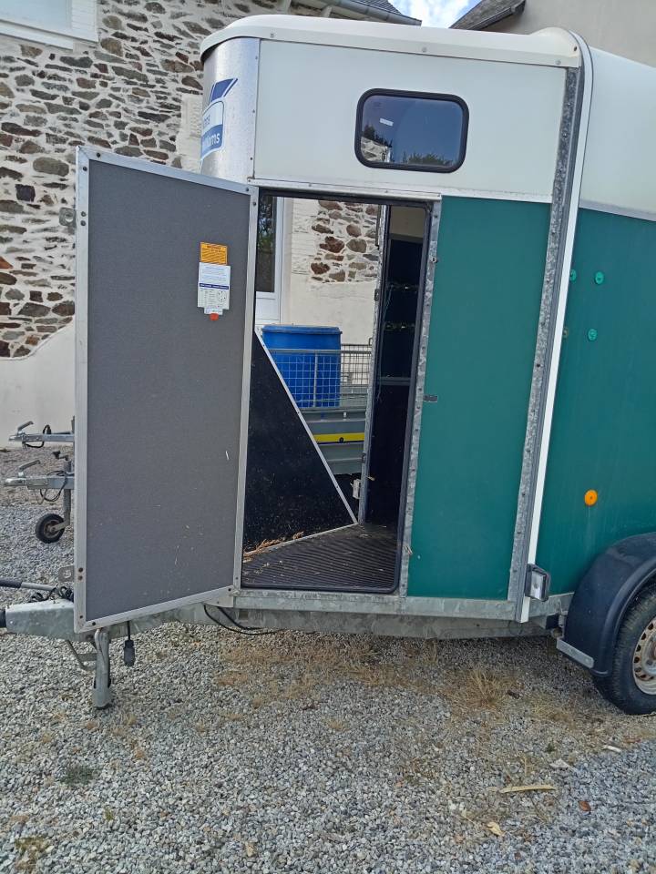 Horse trailer Ifor Williams HB401R 1,5 Stalls 2003 Used