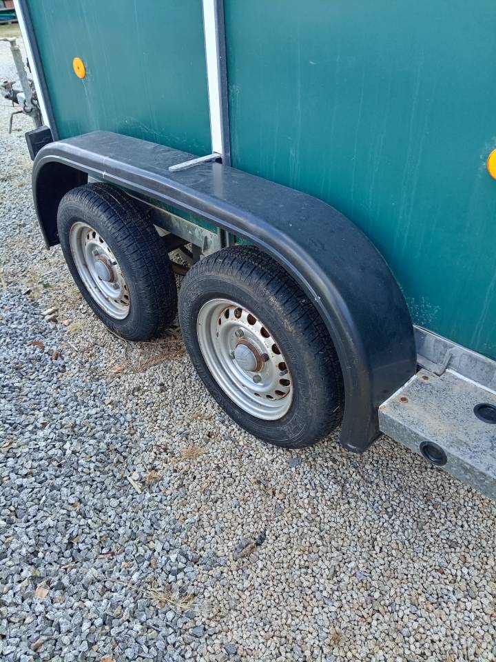 Horse trailer Ifor Williams HB401R 1,5 Stalls 2003 Used