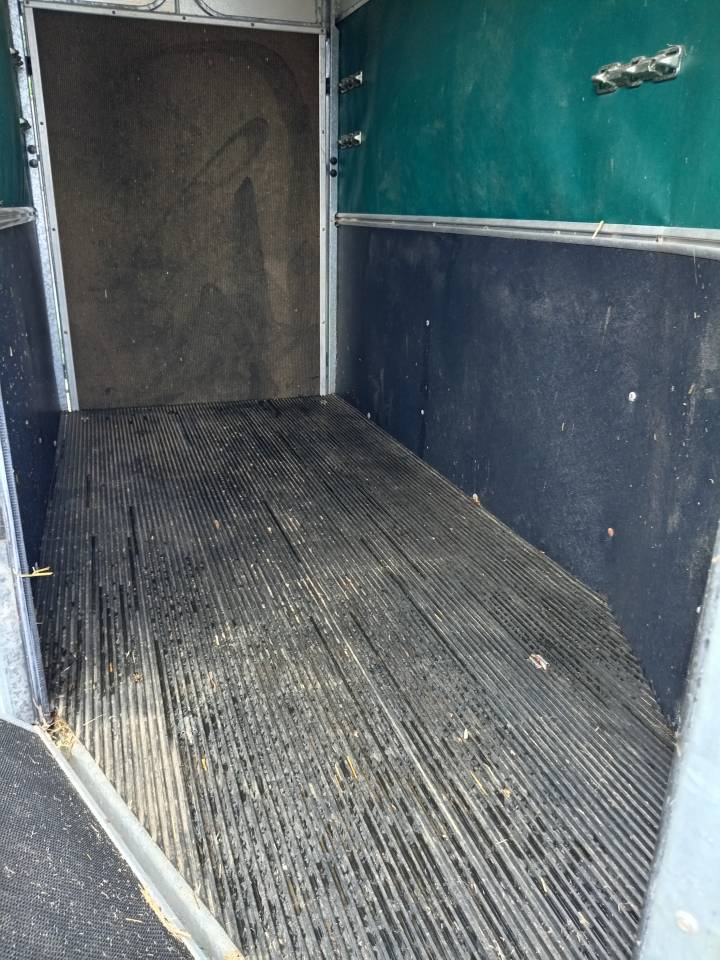 Horse trailer Ifor Williams HB401R 1,5 Stalls 2003 Used