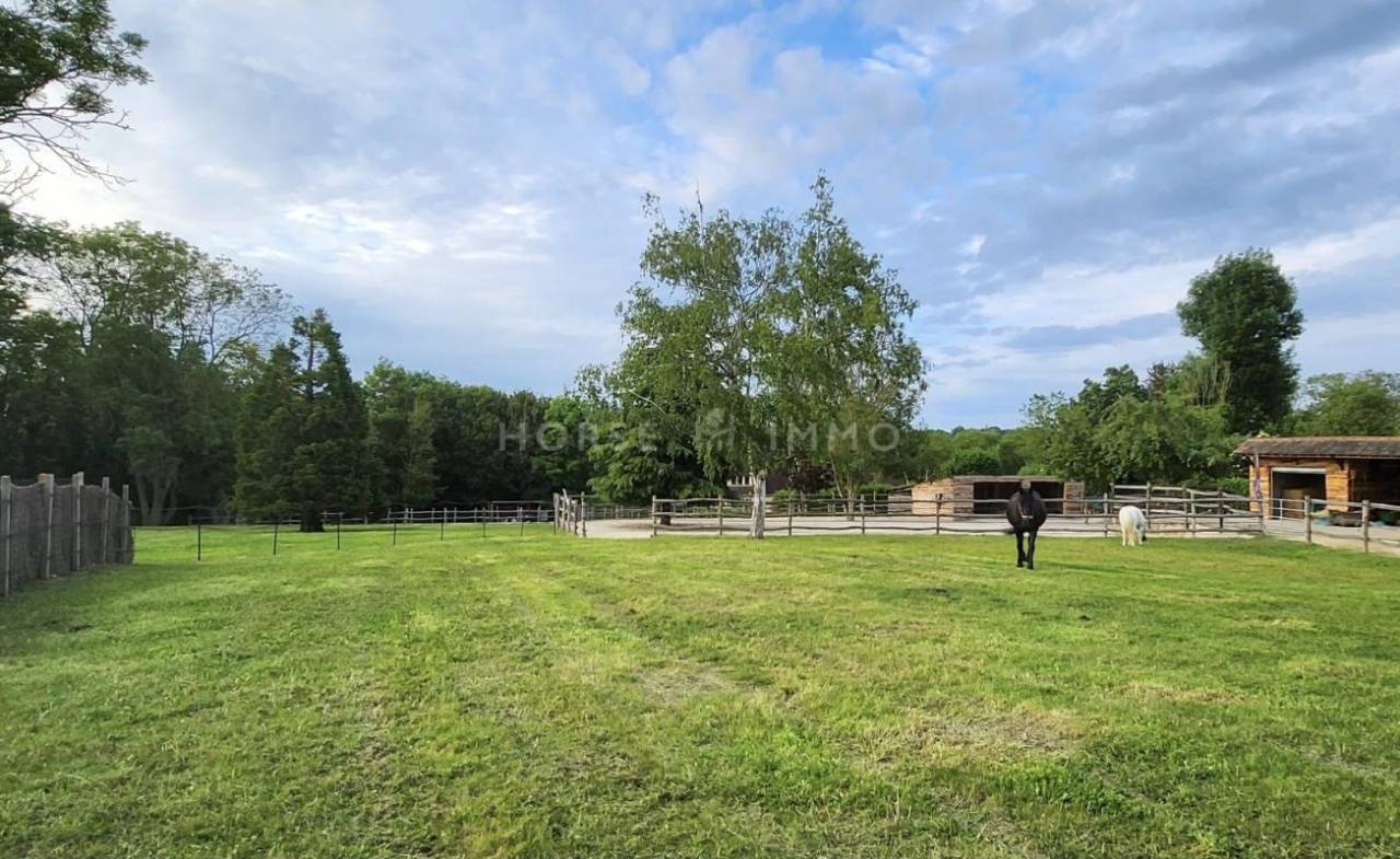Equestrian property  Yvelines