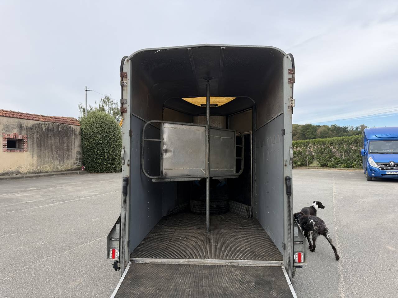 Horse trailer Ifor Williams HB505R 2 Stalls 2000 Used