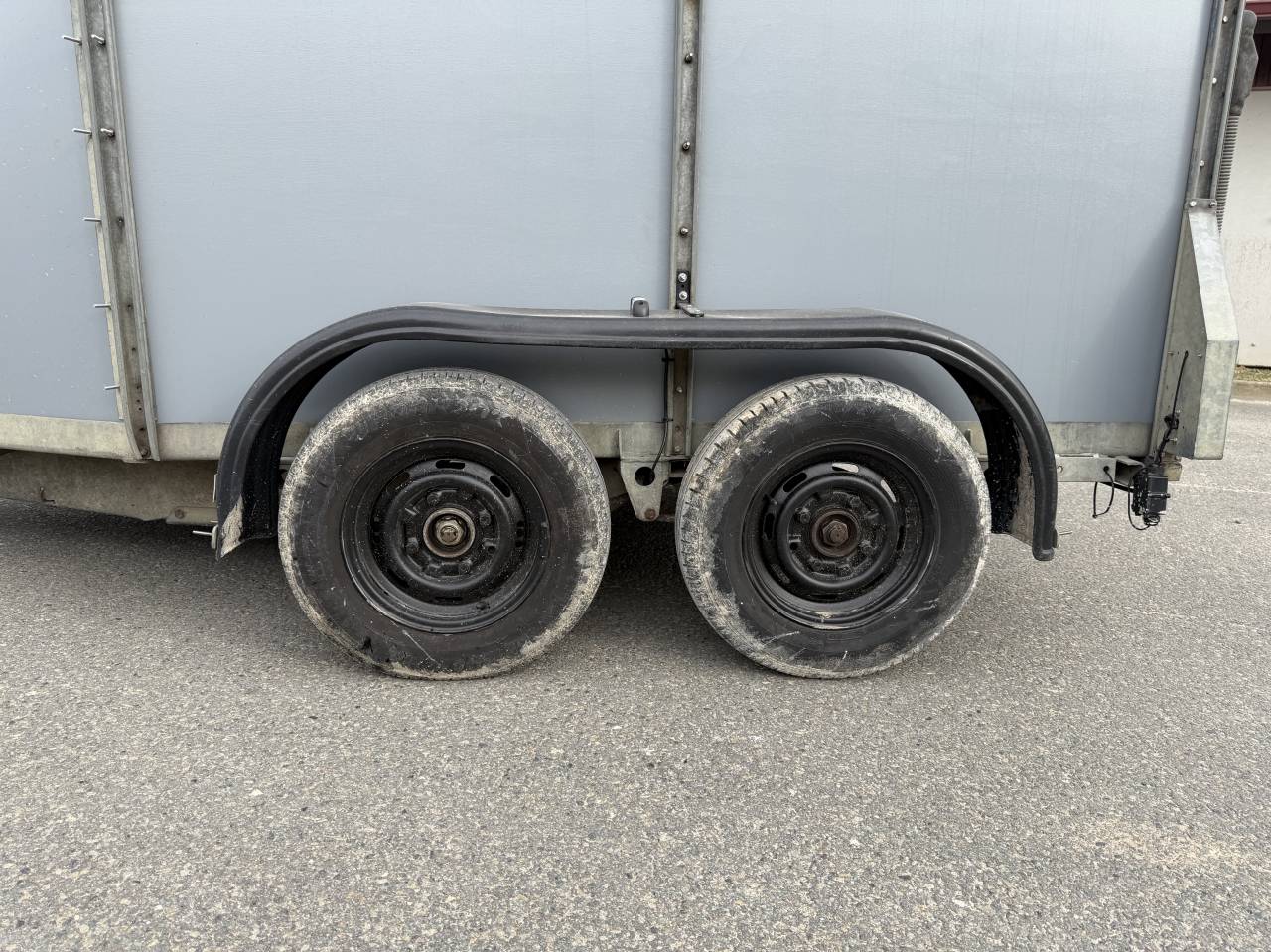 Horse trailer Ifor Williams HB505R 2 Stalls 2000 Used