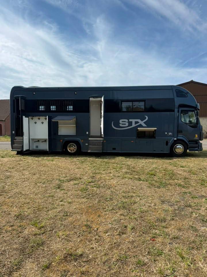 Horsebox NON-HGV STX volvo fl 2016 New