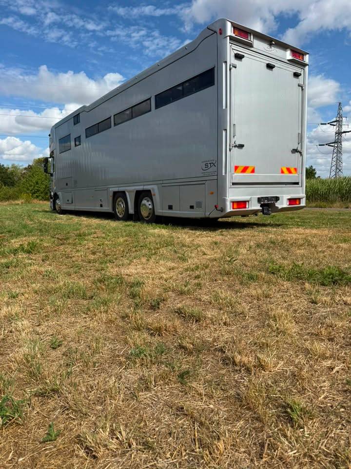 Horsebox NON-HGV STX iveco stalis 2011 Used