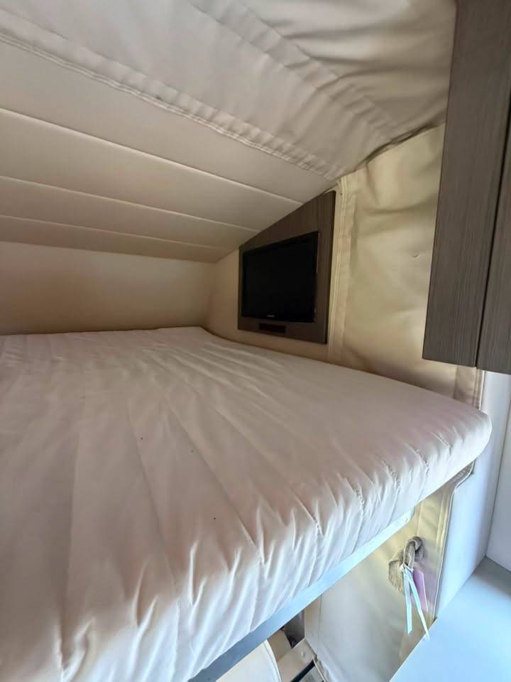 Horsebox NON-HGV STX iveco stalis 2011 Used