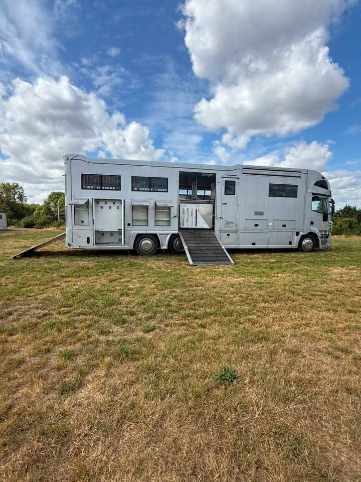 Horsebox NON-HGV STX iveco stalis 2011 Used
