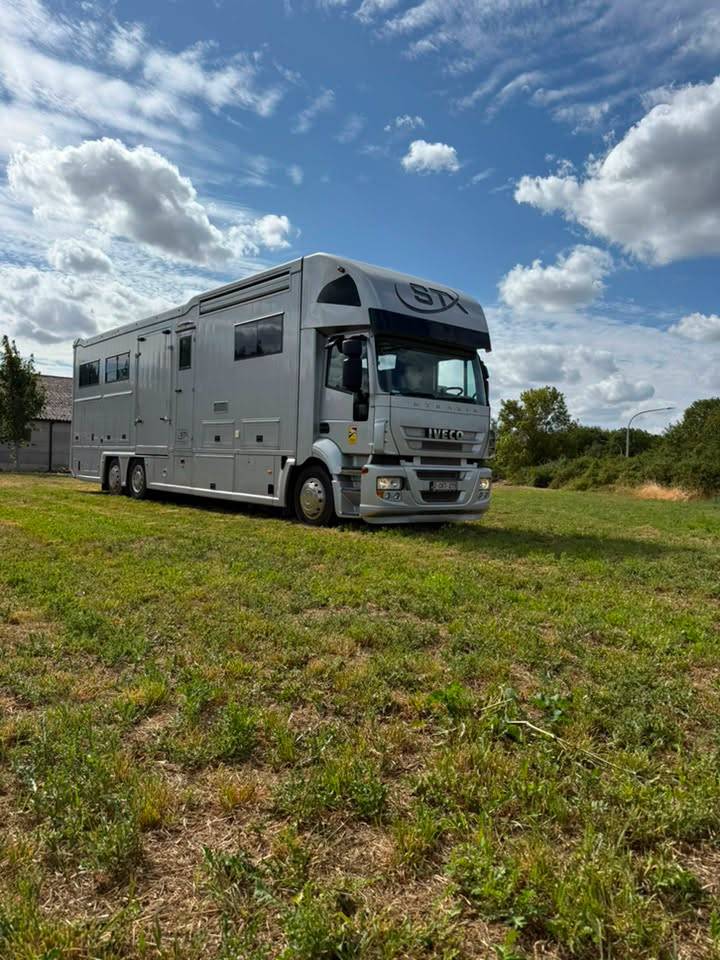Horsebox NON-HGV STX iveco stalis 2011 Used