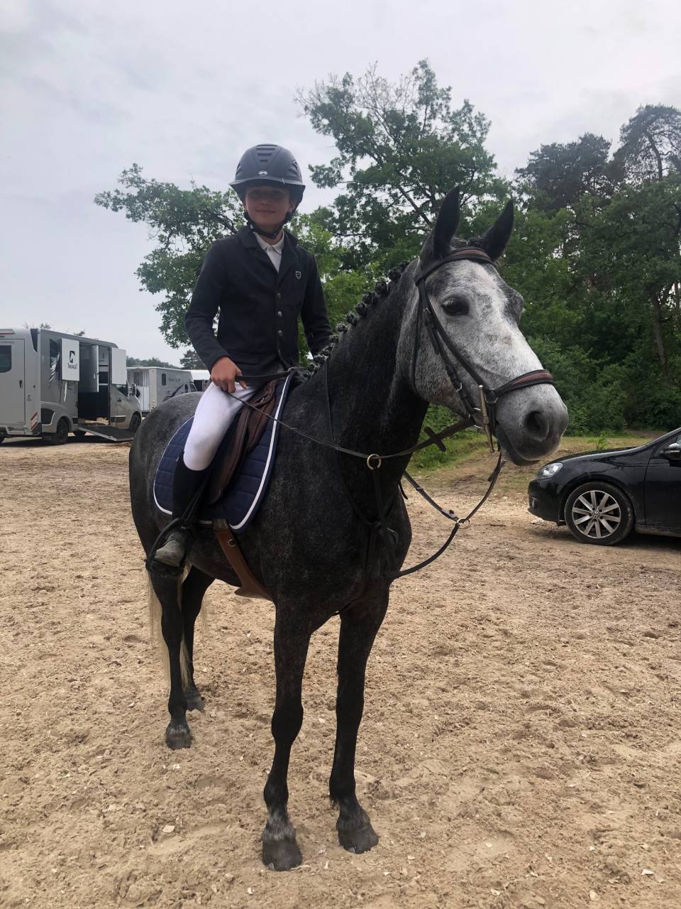 Mare French Saddle Pony For sale 2018 Grey