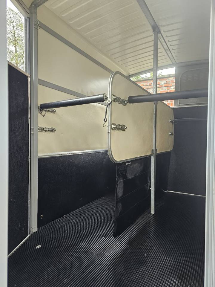 Horse trailer Ifor Williams HB511 2 Stalls 2019 Used