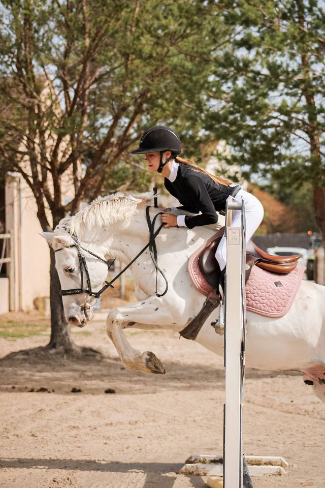 Gelding Connemara For sale 2022 Appaloosa